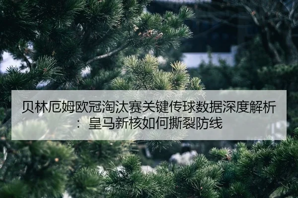 bei-lin-e-mu-ou-guan-tao-tai-sai-guan-jian-chuan-qiu-shu-ju-shen-du-jie-xi-huang-ma-xin-he-ru-he-si-lie-fang-xian-2-554.jpg