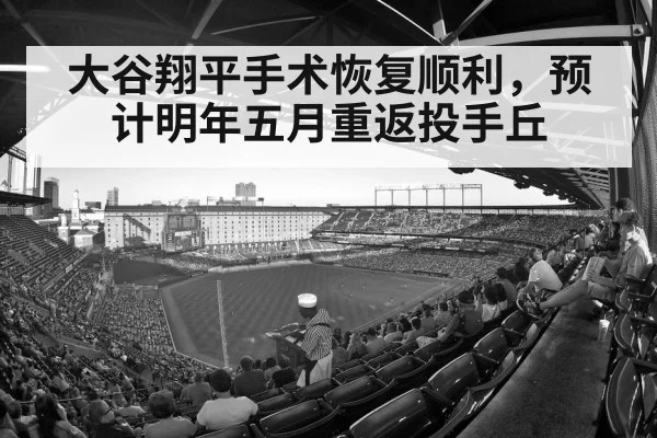 baseball stadium crowd