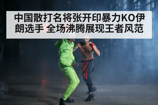 intense kung fu fight knockout
