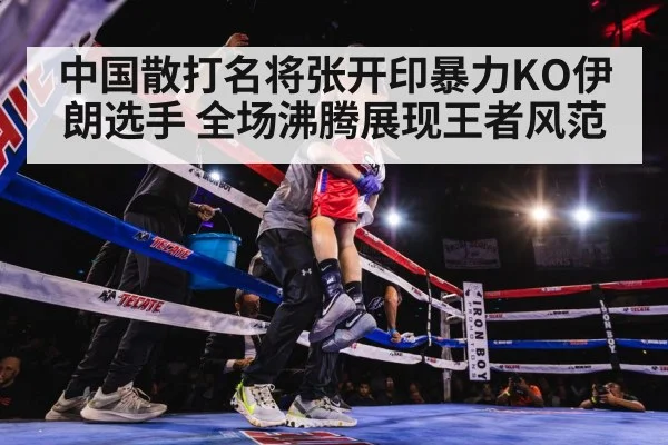 boxing match crowd cheering