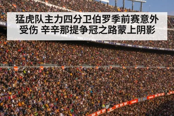 猛虎队主力四分卫伯罗季前赛意外受伤 辛辛那提争冠之路蒙上阴影
