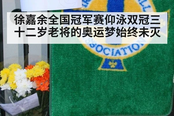 徐嘉余全国冠军赛仰泳双冠三十二岁老将的奥运梦始终未灭